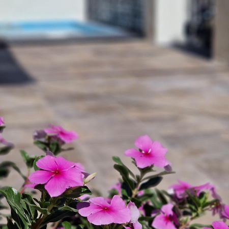 Villa Del Parque Flats Balneario De Pina Málaga Exterior foto
