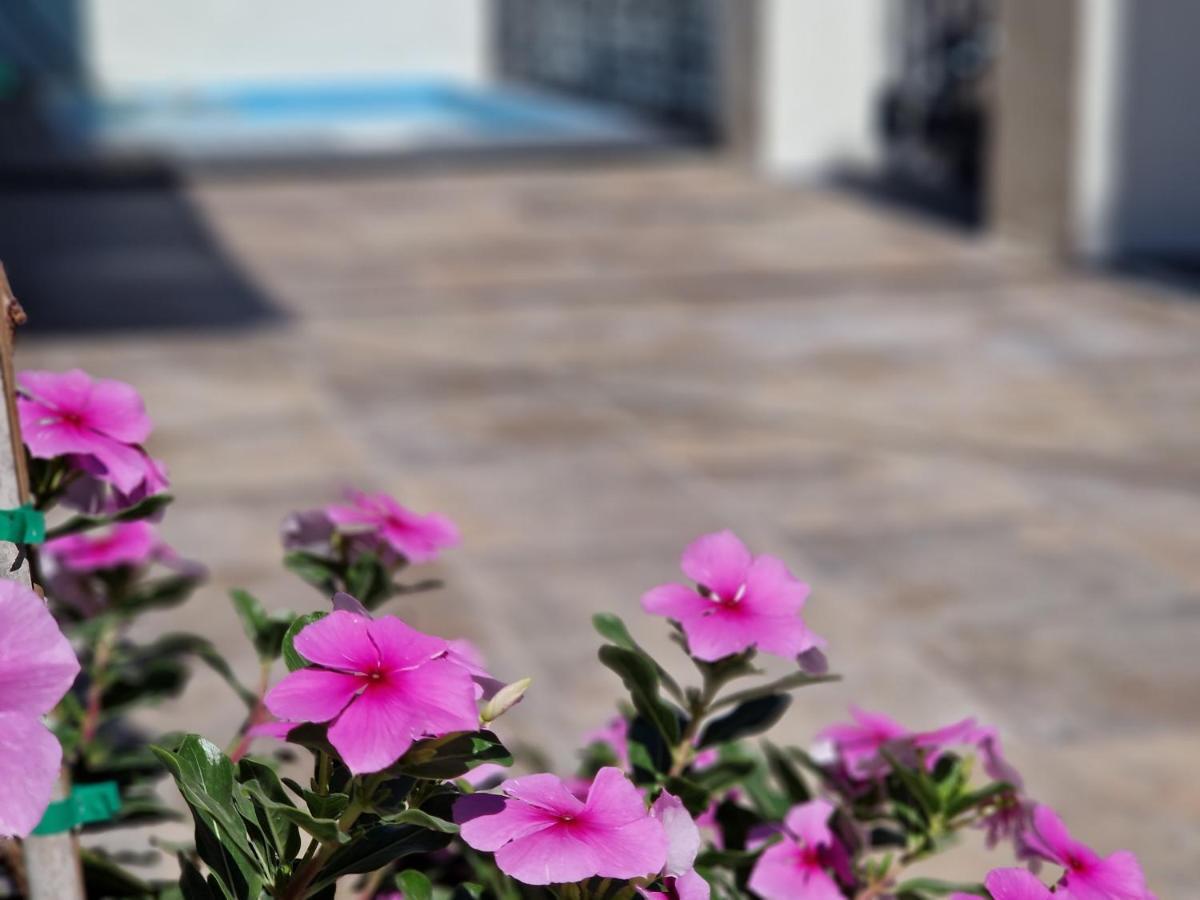 Villa Del Parque Flats Balneario De Pina Málaga Exterior foto